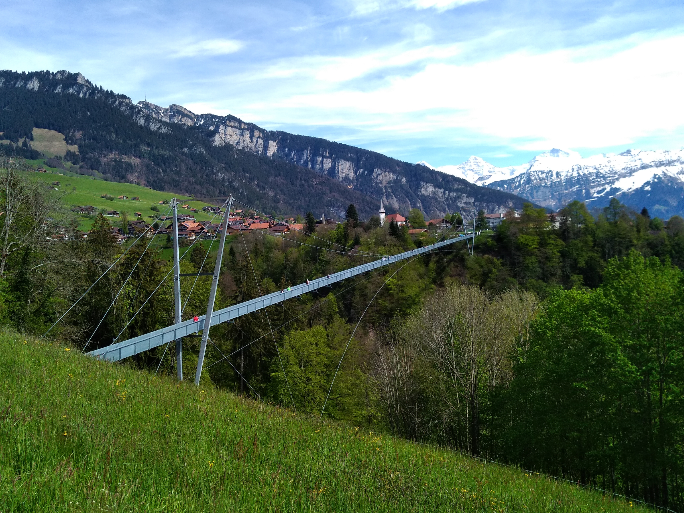 Swiss Suspension Bridges